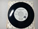 Gene Chandler – I Can't Save It / I Can Take Care Of Myself C-169 RARE Promo