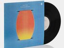 Holy Hive - Float Back To You LP Vinyl Record