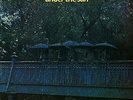 Nucleus - Under The Sun (LP) 2022 Vinyl Brand New and Sealed - Ian Carr