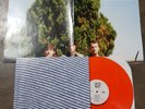 Wallows  Nothing Happens LP 2019 Original Orange Vinyl RARE NM