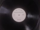 White Noise - An Electrical Storm LP Test Pressing Terre Haute Island Records EX