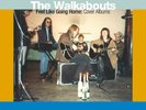The Walkabouts – Feel Like Going Home: Cover Albums, 3 DoLP + 4 CD Limited Box