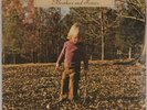 ALLMAN BROTHERS BAND: Brothers and Sisters US Capricorn Orig Insert LP NM Vinyl