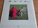 LP / Record / Vinyl / Album - Rush - Signals - 1982 press - VG+