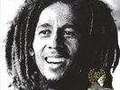 KAYA 40 (2 LP)