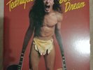 Ted Nugent scream dream vinyl