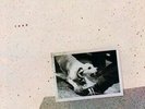 Tusk (2LP) by Fleetwood Mac (Record, 2021)