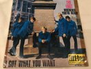 The Loot - Whenever You're Ready/ I Got What You Want 7/45 1967 RARE Psych Beat