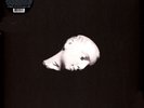 Sofa - Source Crossfire (Vinyl 2LP - 2021 - CA - Original)