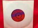 THE UPSETTERS Bucky Skank 1973 UK 7
