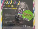 Enter Shikari – Nothing Is True & Everything Is Possible - New Ltd Purple LP