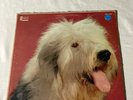 THE SHAGGY DOG SOUNDTRACK RARE  Insert Book WDL-3044 LP Vinyl VG+ *