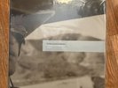 Brian Jonestown Massacre vinyl bundle