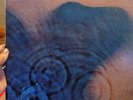 Pink Floyd, Soul Asylum, Blackboard Jungle Dub, HUSKER DU Vinyl Albums