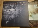 COCTEAU TWINS Treasure Vinyl LP 4AD First Press 1984 Near Mint