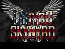 LYNYRD SKYNYRD - Best Of Live At Cardiff. Wales November 4 1975 - Ne - X11501A