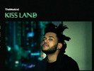 The Weeknd - Kiss Land SEAGLASS COLORED Vinyl 2xLP Limited 5-Year Anniversary