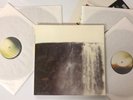 Nine Inch Nails The Fragile Deviations 1 Album LP Vinyl - Previously Owned