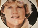 Anne Murray 1978 promo only picture disc LP Let's Keep It That Way Capitol VG+