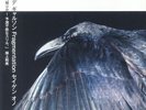 ONO, Seigen - CDG Fragmentation - Vinyl (gatefold LP + insert with obi-strip)