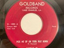Goldband G-1085 Guitar Jr. - Pick Me Up On Your Way Down / Please, 7