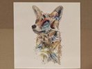 Star Fox Totakuribo SNES VGM Vinyl Not Moonshake Nintendo Soundtrack Video Game