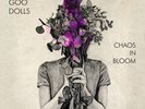 GOO GOO DOLLS - CHAOS IN BLOOM NEW VINYL