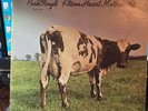 Pink Floyd Atom Heart Mother vinyl SMAS-382