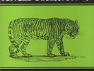 NINO NARDINI/ROGER ROGER - Jungle Obsession (50th Anniversary Edition)(reissue)