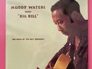 Muddy Waters ‎– Muddy Waters Sings Big Bill Broonzy LP Blues Speakers Corner x
