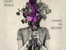Goo Goo Dolls Chaos in Bloom (Vinyl) 12