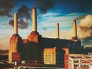 Pink Floyd Animals  (Vinyl)