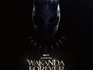 BLACK PANTHER: WAKANDA FOREVER MUSIC FROM AND INSPIRED BY DOUBLE LP V - PRESALE