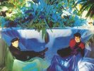 ASSOCIATES, The - Sulk (40th Anniversary Deluxe Edition) - Vinyl (3xLP)