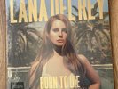 Lana Del Rey - Born to Die The Paradise Edition - Vinyl LP & slipcase (sealed)