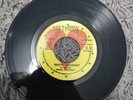 Israel Vibration - Why Worry VG+ Roots, Reggae, Dub, Ska