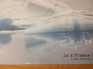 sigur ros