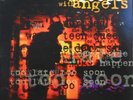 Neil Young And Crazy Horse ‎– Sleeps With Angels 2LP, NM played once -Audiophile