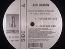 Luis Damon - Should've Never Let You Go 12