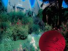 FEEBLE LITTLE HORSE HAYDAY (Vinyl) 12