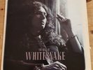 Whitesnake - The Best Of Whitesnake - Used Vinyl Record - B15851A