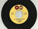 Northern Motown Soul   The Miracles   If Your Mother Only Knew   Tamla