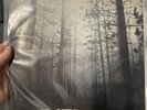 The cure : A FOREST — UK first pressing 1980 - FICSX