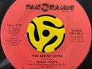 Modern Soul Funk 45 - Black Ivory - You Are My Lover - Panorama Vg+ HEAR