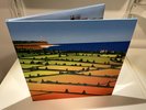 Lemon Jelly - Lost Horizons - vinyl. NM sleeves. NM to excellent discs.