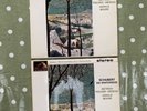 ASDS 551 and ASD 552 Schubert Winterreise Dietrich Fischer-Dieskau, White/Gold 