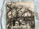 Judas Iscariot – Thy Dying Light LP - 2001 Sombre Records 1st Press # 128 of 350