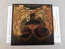 PLANES MISTAKEN FOR STARS FUCK WITH FIRE 2004 PRESS COLORED VINYL LP NO IDEA 113