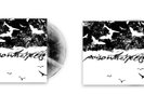 2 VINYL POISON THE WELL TEAR FROM THE RED(Blood Red w/ B/W Spltr & Black Galaxy)