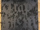 TRAP THEM-Sleepwell Deconstructor TEST PRESSING Punk Hardcore HC Trash Art